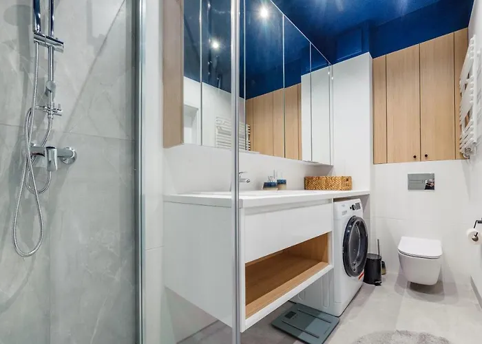 Nexo, Sun & Snow Puck